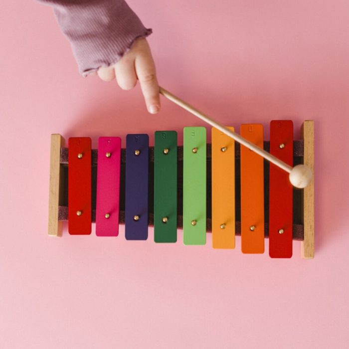 Metalófono de 8 sonidos - Imagen 2