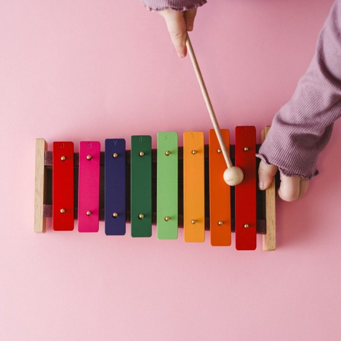Metalófono de 8 sonidos - Imagen 6