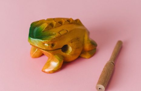 Rana instrumento de música infantil tradicional