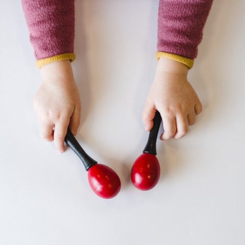 Instrumentos musicales para niños regalos para niños 2 años 3 años 4 años